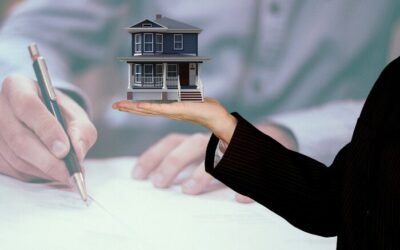 Holding patrimonial: principais vantagens