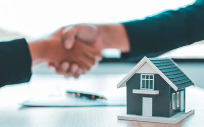 Holdings Patrimoniais: cuidados jurídicos essenciais relacionados aos imóveis